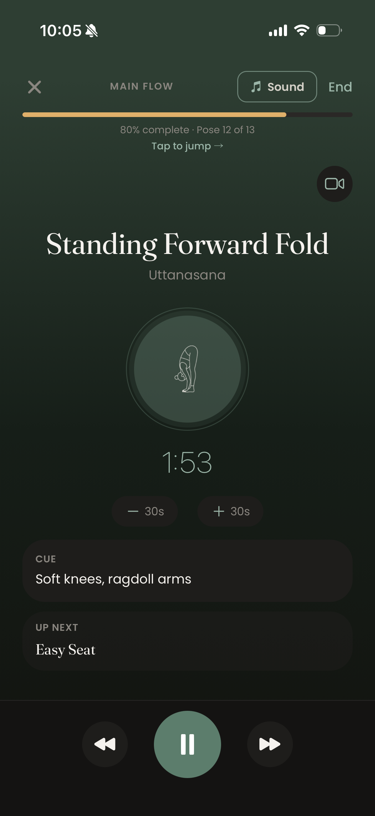 Cue teaching mode on iPhone: a calm full-screen view with the pose, a countdown timer, and the cue