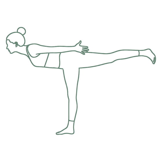 Sage line drawing of Airplane Pose