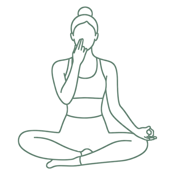 Sage line drawing of Alternate Nostril Breath