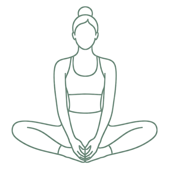 Sage line drawing of Bound Angle