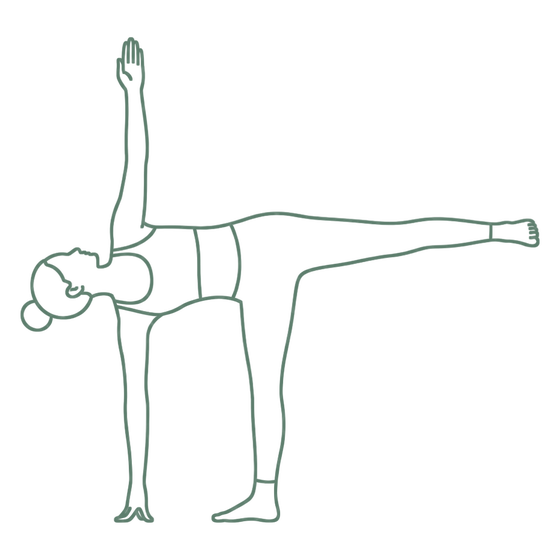 Sage line drawing of Half Moon