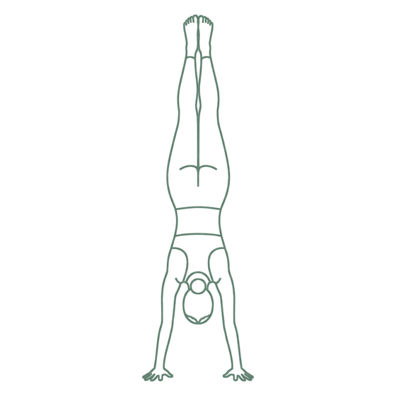 Sage line drawing of Handstand