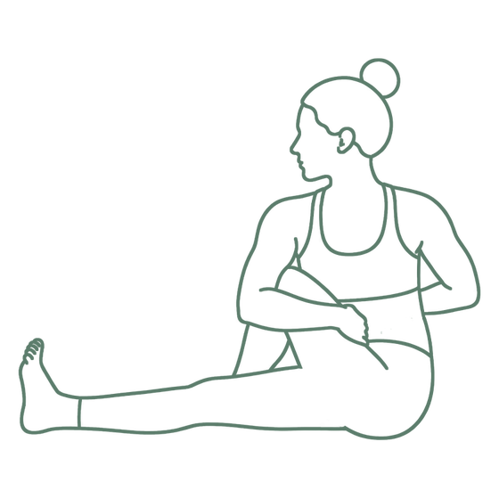 Sage line drawing of Marichi's Pose