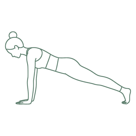 Sage line drawing of Plank Pose
