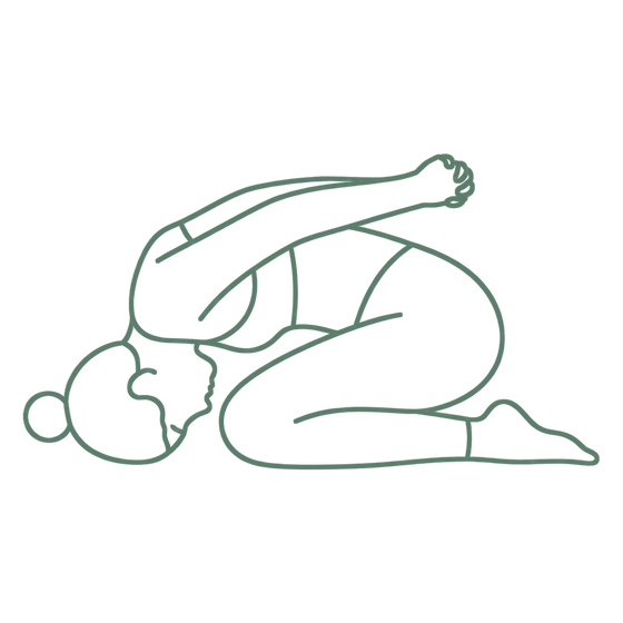Sage line drawing of Rabbit Pose