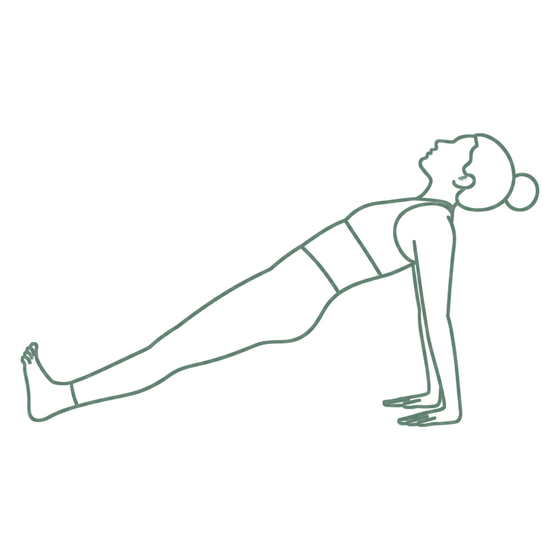 Sage line drawing of Reverse Plank