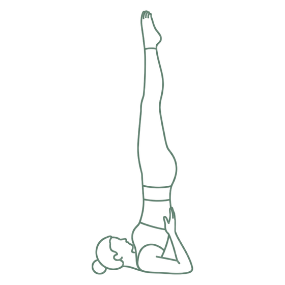 Sage line drawing of Shoulderstand