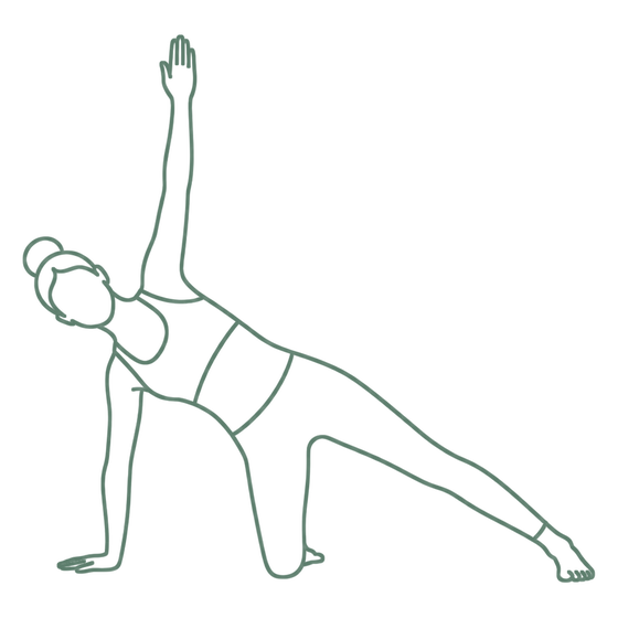 Sage line drawing of Side Plank with Knee Down