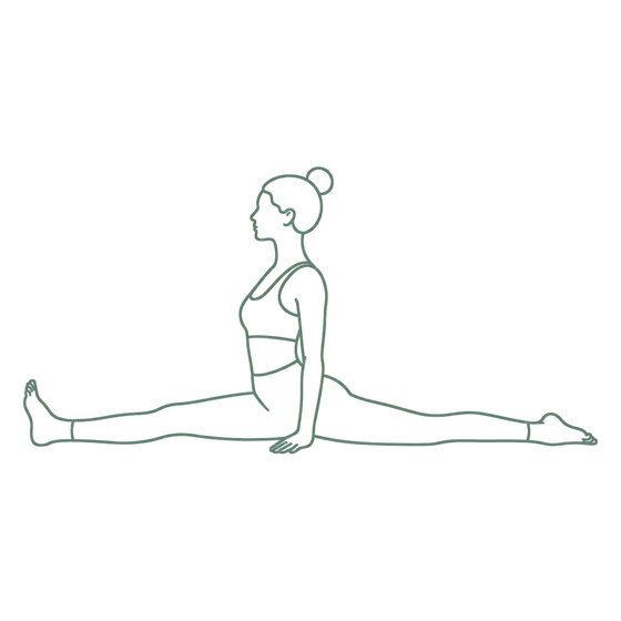 Sage line drawing of Splits