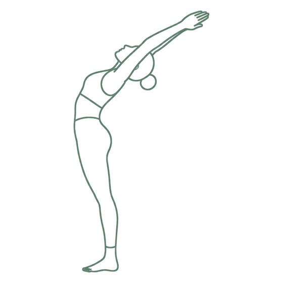 Sage line drawing of Standing Backbend