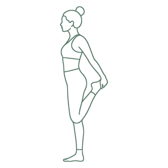 Sage line drawing of Standing Quad Stretch