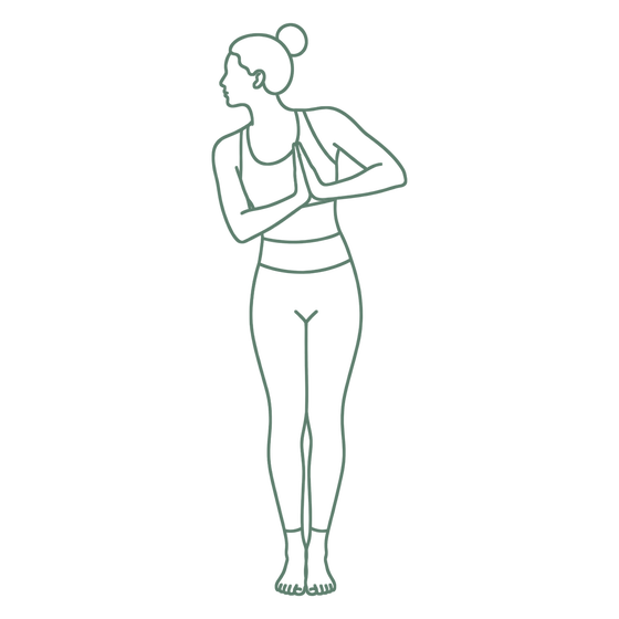Sage line drawing of Standing Twist
