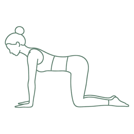 Sage line drawing of Tabletop