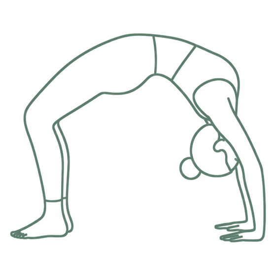 Sage line drawing of Wheel Pose