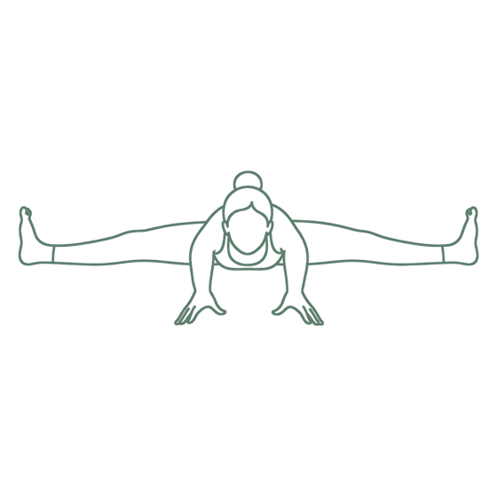 Sage line drawing of Wide-Angle Seated Forward Bend