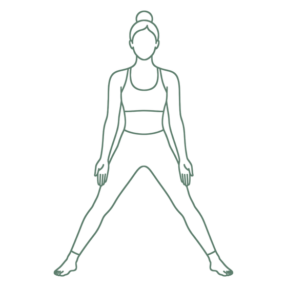 Sage line drawing of Wide-Legged Mountain